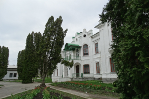 Дворец Закревских, Березовая Рудка